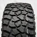 Warrior Terra M-T 02.webp